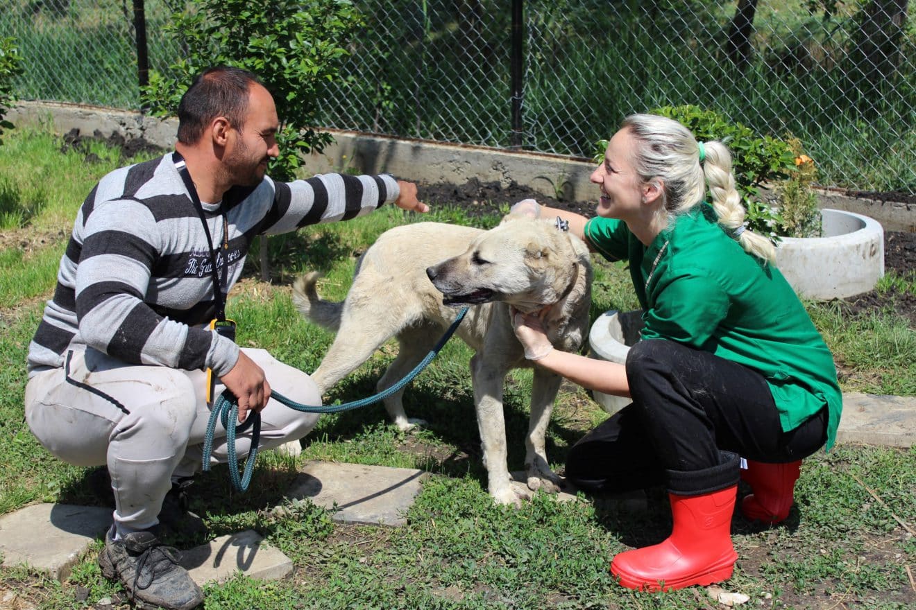 Tierschutz Rumänien • Verein Niemandstiere